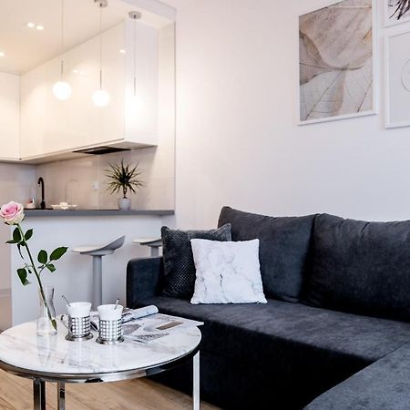 Lake View apartment-free parking Katowice Buitenkant foto